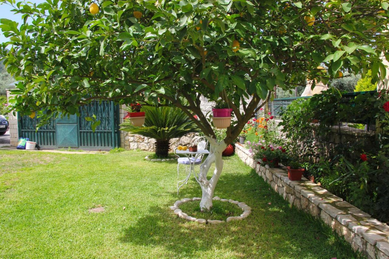Villa Dimitra Nikiana Exterior photo